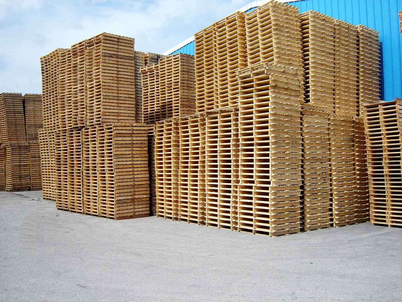 stock de paletes pinho nacional alfarigor