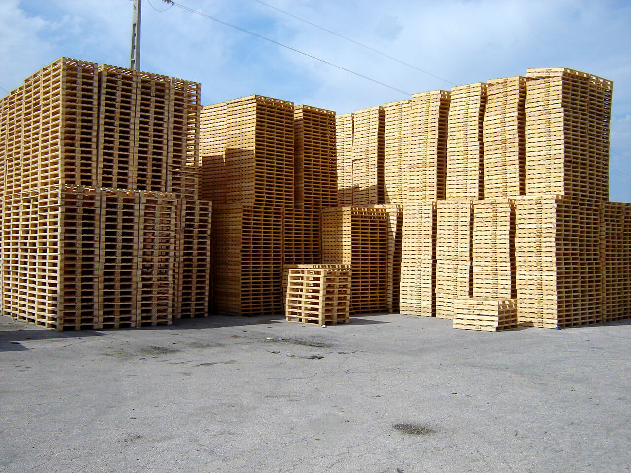 stock paletes portugal pinho nacional